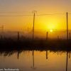 Balades en Audomarois (43)