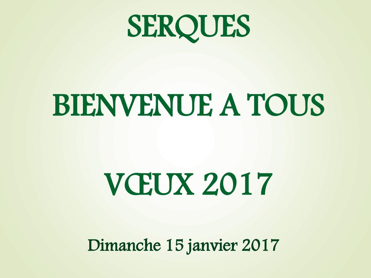 Voeux 2017 (1)