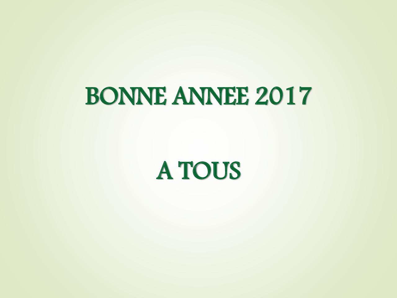 Voeux 2017 (117)