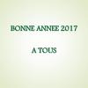 Voeux 2017 (117)