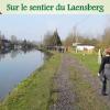Voeux 2017 (16)